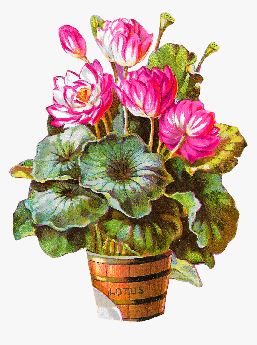 Flower Potted Plant Image Download Clipart Artwork - Artificial Flower, HD Png Download, Free Download