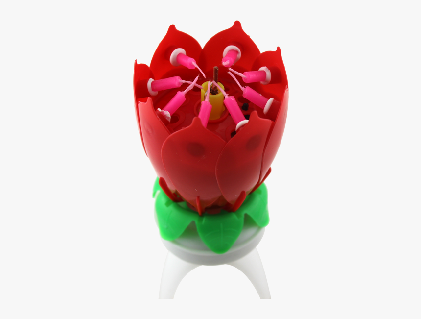 Tulip, HD Png Download, Free Download