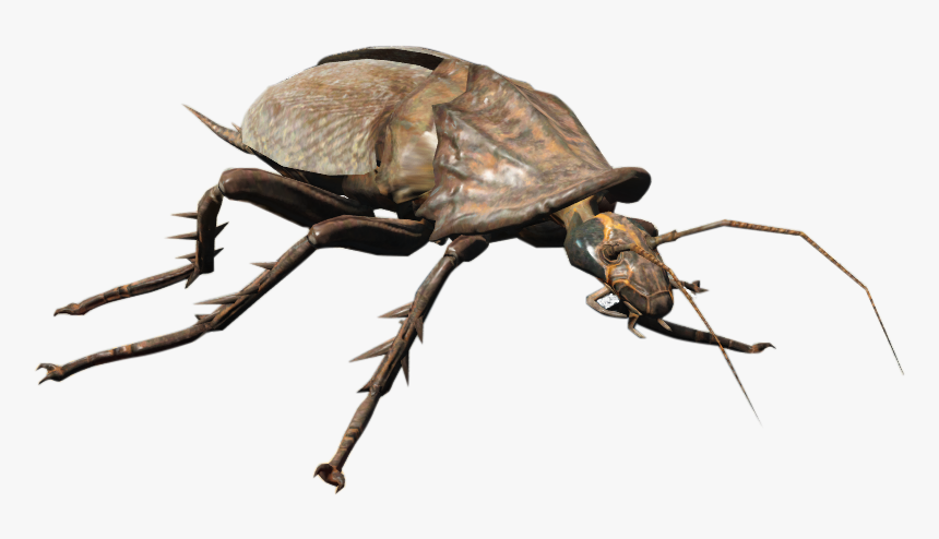 Nukapedia The Vault - Fallout 4 Cockroach, HD Png Download, Free Download