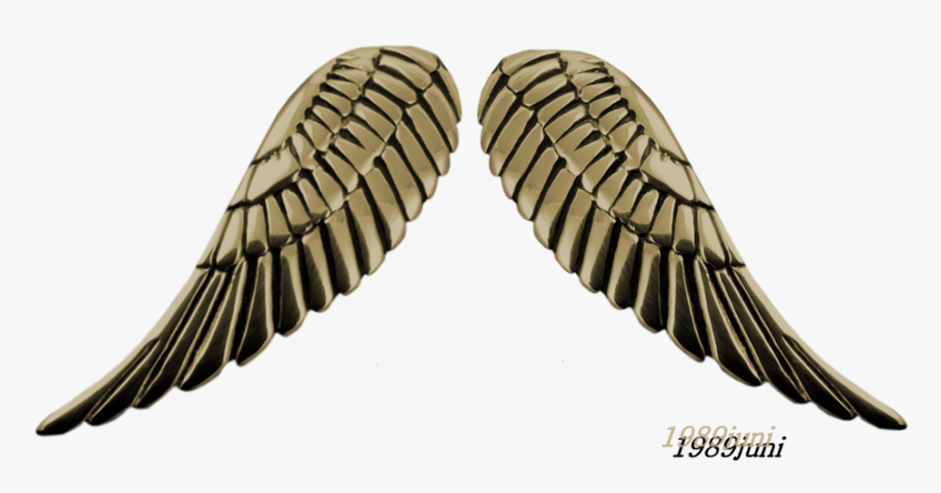 Thumb Image - Robot Wings Png, Transparent Png, Free Download