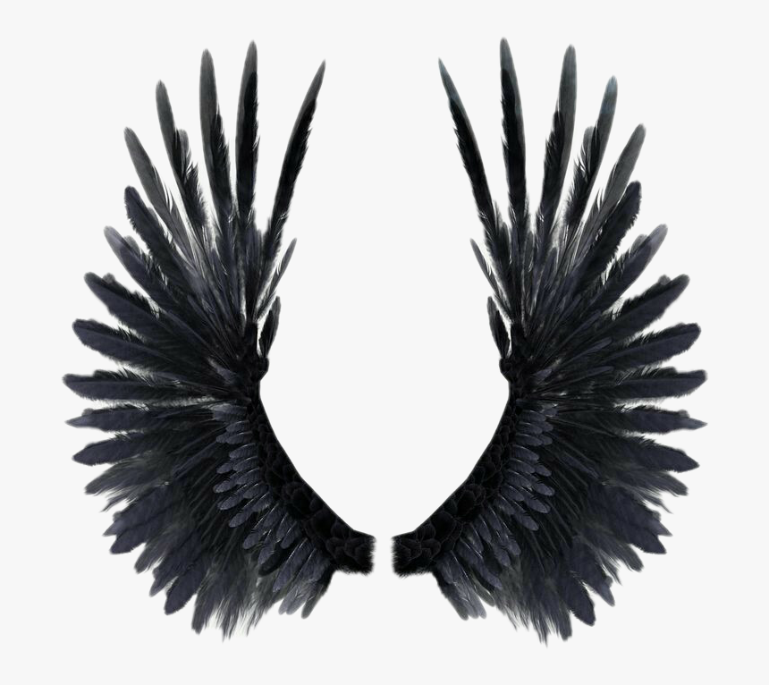 Realistic Wings , Png Download - Realistic Wings, Transparent Png, Free Download