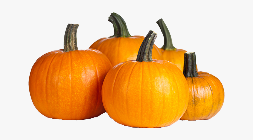 Transparent Background Pumpkins Png, Png Download, Free Download