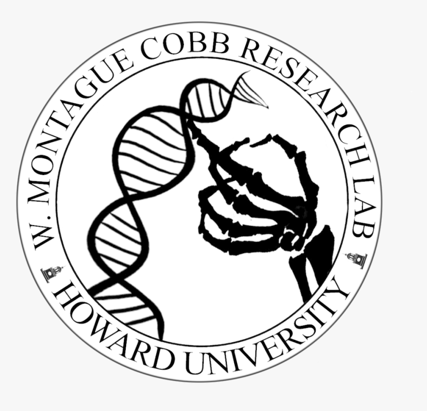 Cobb Seal Circle White - Emblem, HD Png Download, Free Download