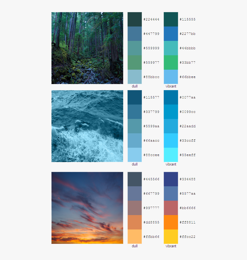 Color Palette 4 - Paleta De Colores De La Naturaleza, HD Png Download, Free Download