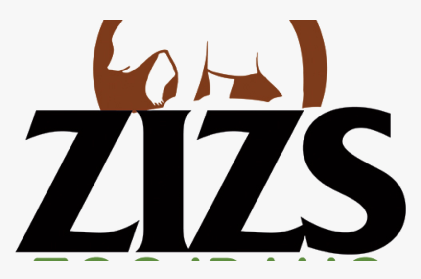 Zizs Graphic Identity, HD Png Download, Free Download