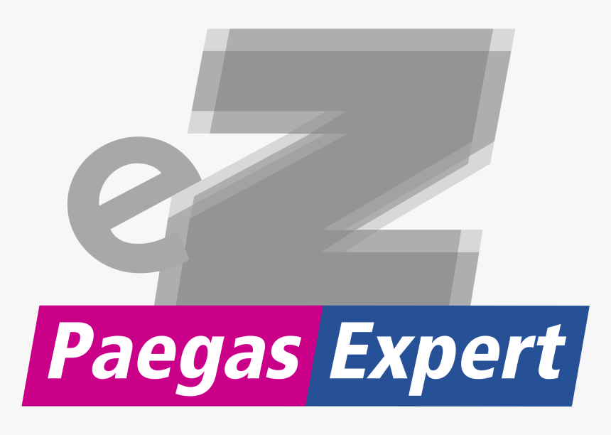 Paegas Expert Logo Png Transparent - Excel Pour Les Nuls, Png Download, Free Download