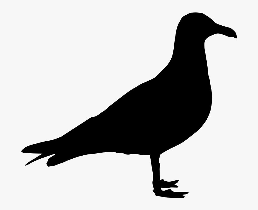 Seagull Png Silhouette Clipart , Png Download - Sea Gull Silhouette, Transparent Png, Free Download