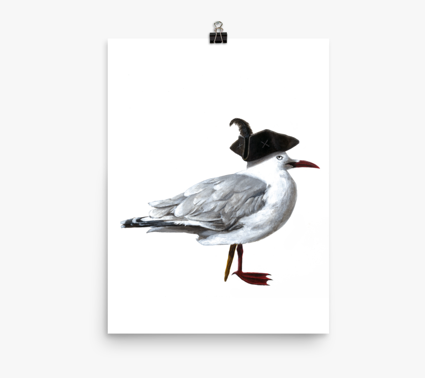 Transparent Sea Gull Png - Duck, Png Download, Free Download