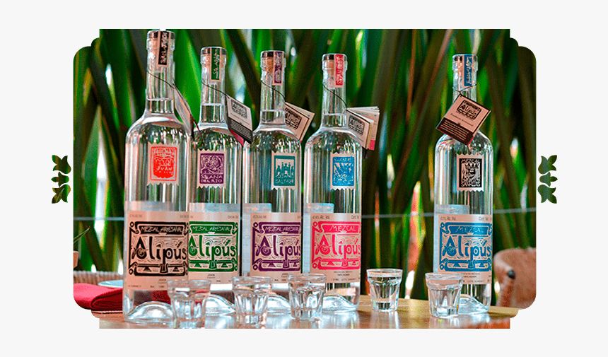 Vuelo Alipús - Mezcal Alipus, HD Png Download, Free Download