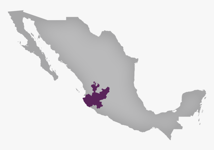 Vector Mapa De Mexico Png, Transparent Png, Free Download