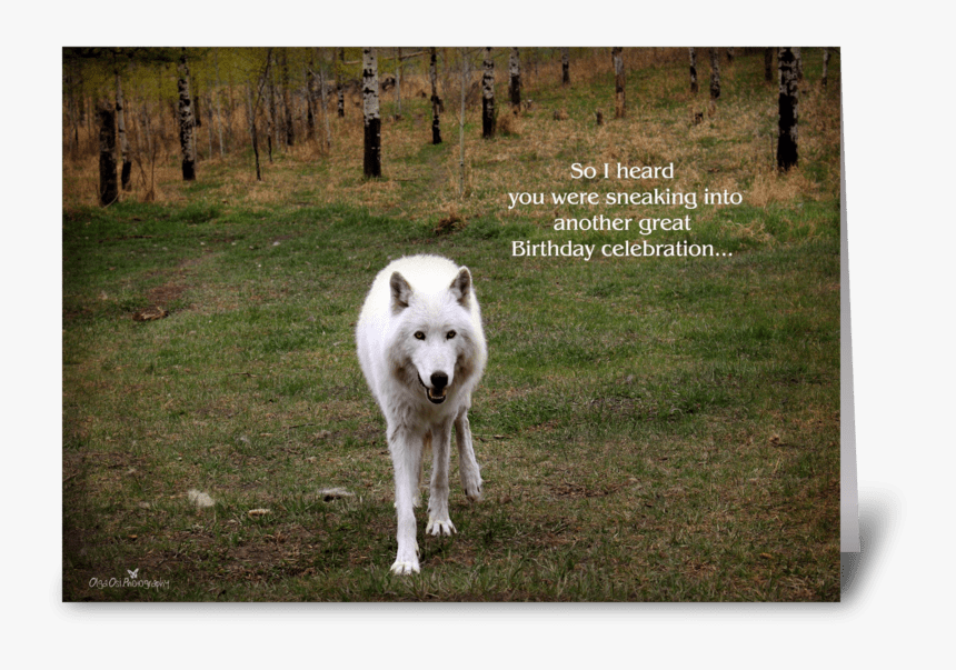 Sneaking Into Greeting Card - Kishu, HD Png Download, Free Download