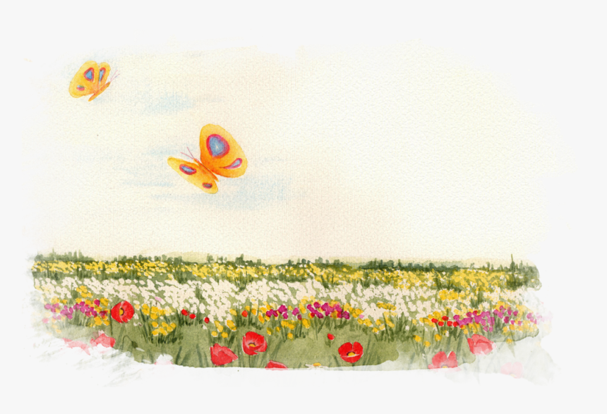 Ilustraciones En Acuarela La Magia De Los Colores De - Oxeye Daisy, HD Png Download, Free Download