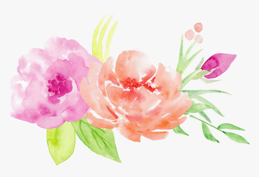 Clip Art Bouquet Illustration - Watercolor Painting, HD Png Download, Free Download