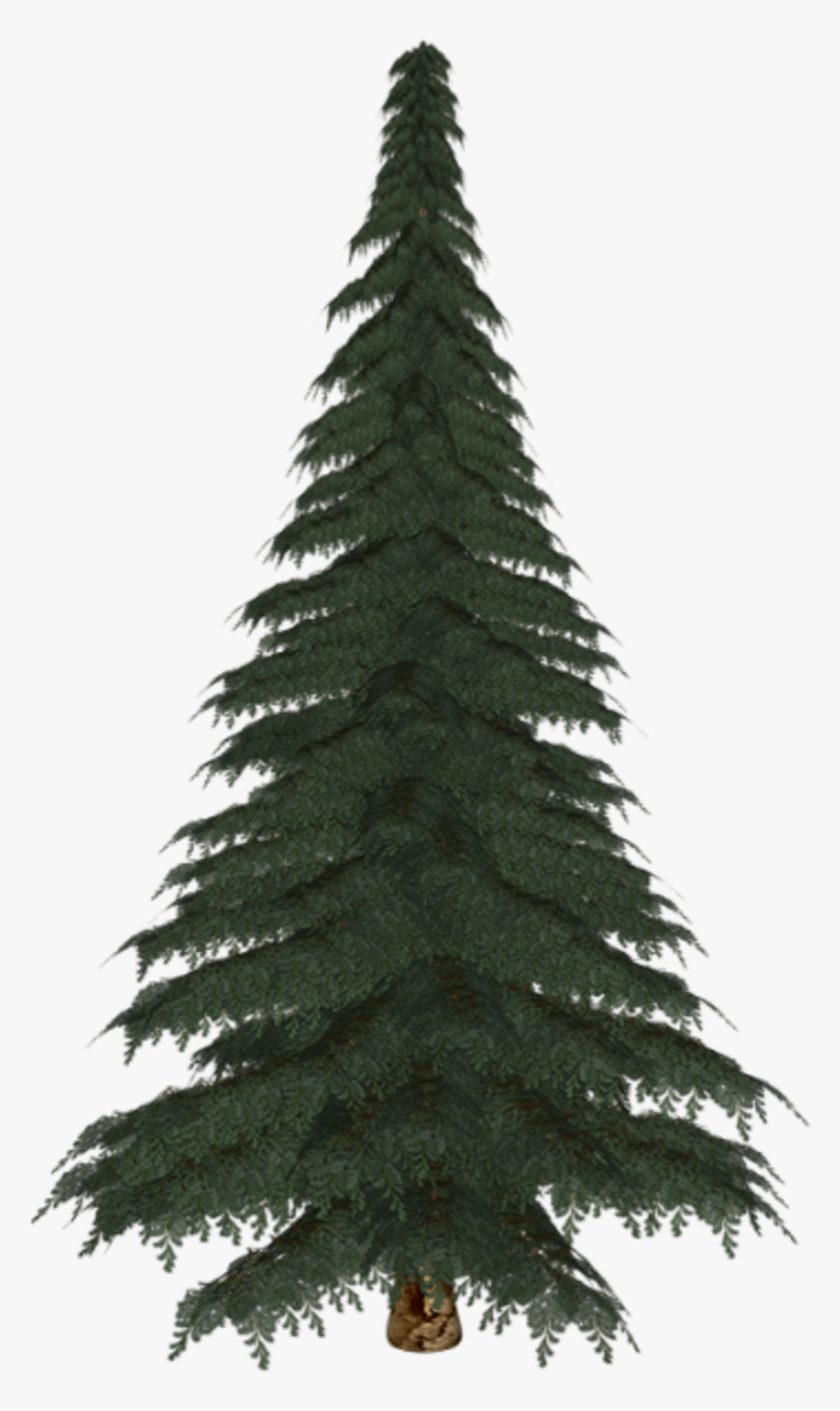 Thumb Image - Christmas Tree, HD Png Download, Free Download