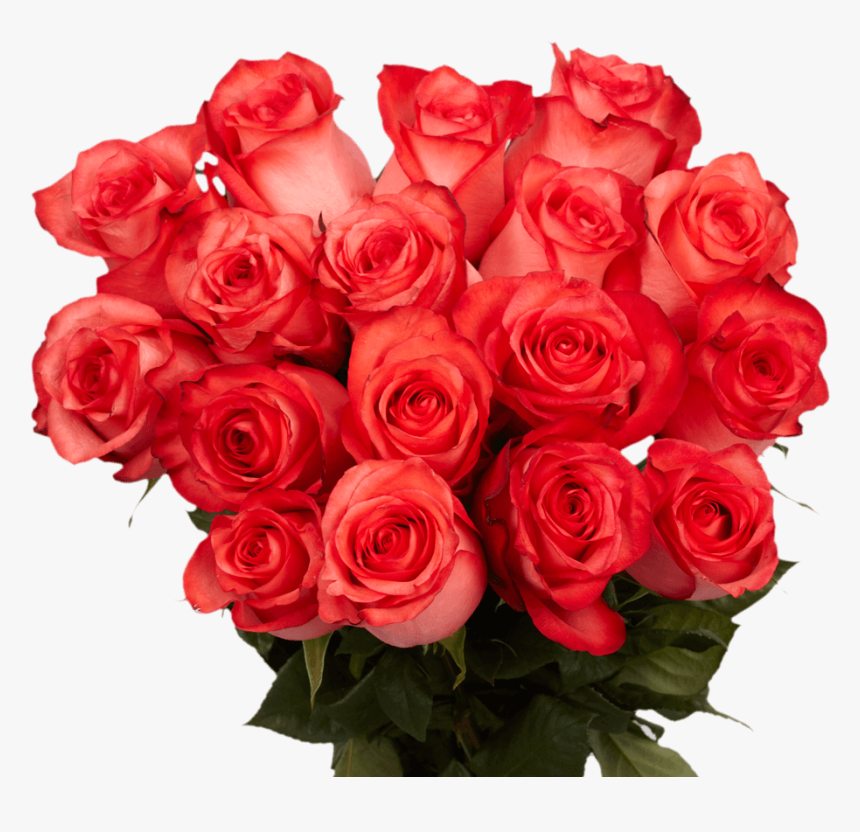 Bright Coral Cute Roses - Cute Roses, HD Png Download, Free Download