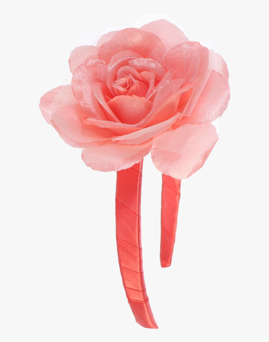 Garden Roses, HD Png Download, Free Download