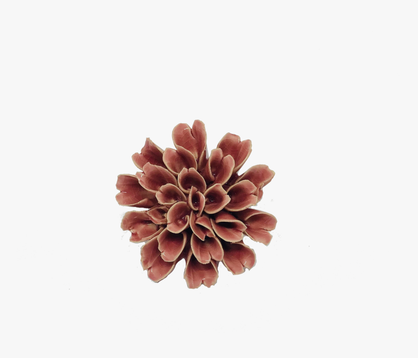 Dahlia, HD Png Download, Free Download