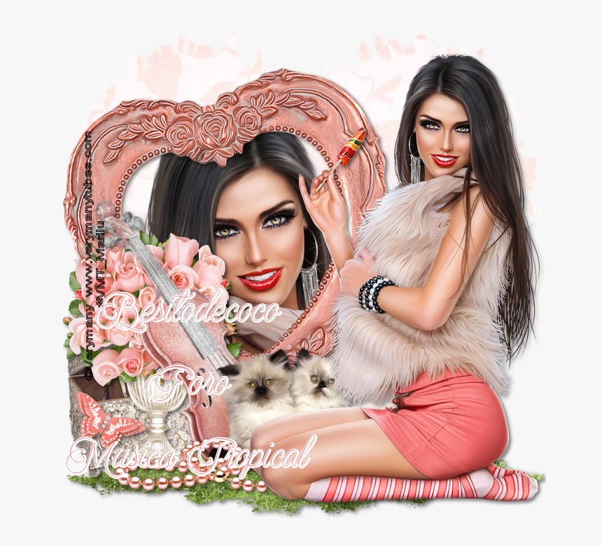 Photo Shoot, HD Png Download, Free Download