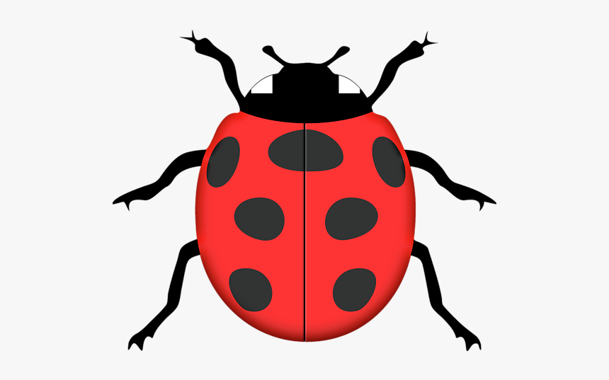 Ladybird Silhouette Stencil Clip Art - Ladybird Silhouette, HD Png Download, Free Download