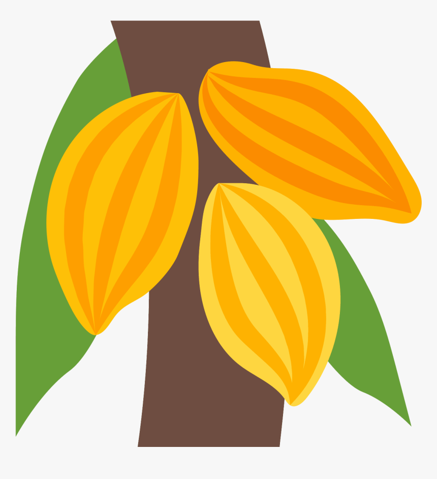 Tree Icon Png -beans Vector Cocoa Tree - Cacao Icon Png, Transparent Png, Free Download