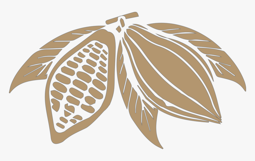 Cocoa Beans Png Transparent Image - Cocoa Bean Png, Png Download, Free Download