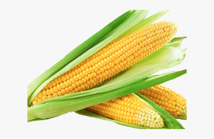 Corn Png Transparent Images - Yummy Sweet Corn, Png Download, Free Download