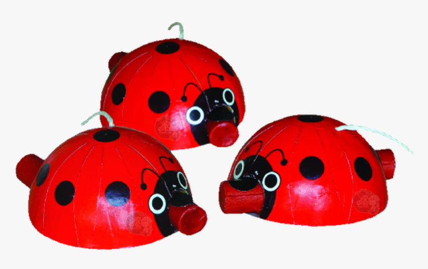 Everyone Wants To Light Off A Ladybug These Unique - Ladybug, HD Png Download, Free Download