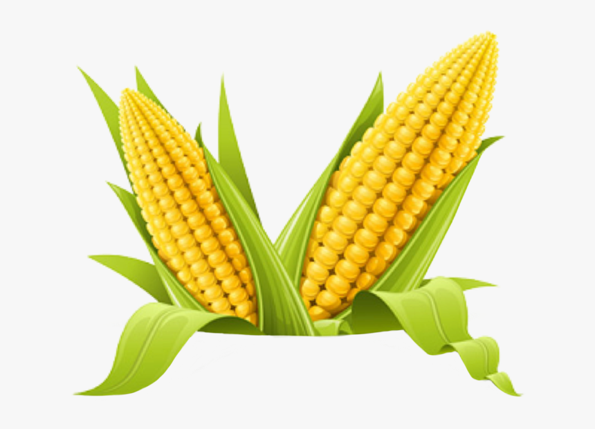 #trend #fiesta #idk #popcorn #corn #polyvore #nature - Corn Hd, HD Png Download, Free Download