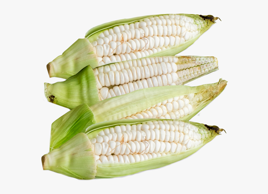 Choclo Entero Whole Peruvian Corn - Corn On The Cob, HD Png Download, Free Download