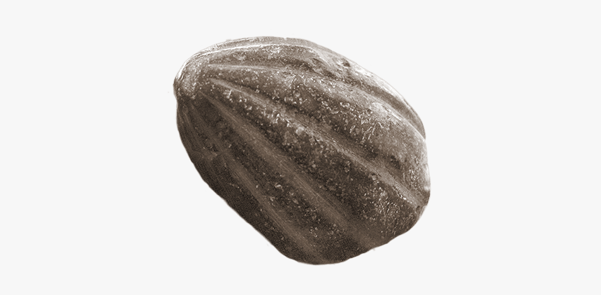 Squash, HD Png Download, Free Download