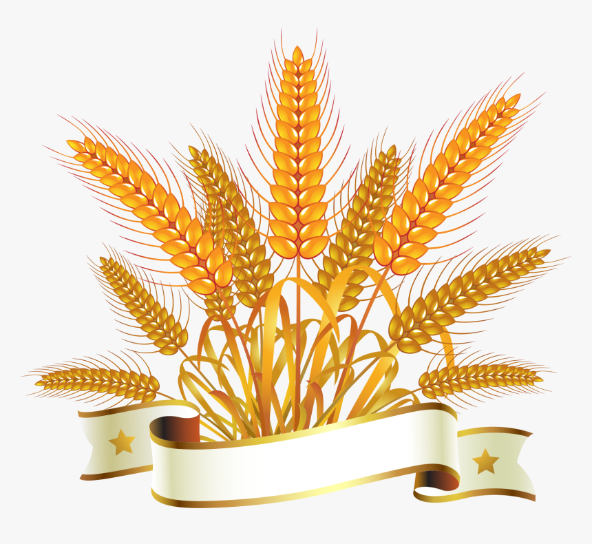 Harvest Bread Clip Art, HD Png Download, Free Download