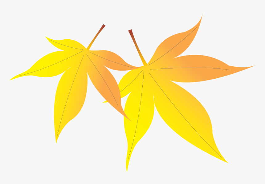 Maple Leaf, HD Png Download, Free Download