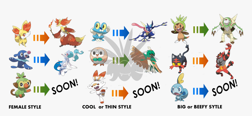 Transparent Hahaa Png - Pokemon 8th Gen Starters Evolutions, Png Download, Free Download