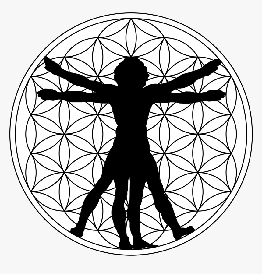 Vitruvian Man Silhouette, HD Png Download, Free Download