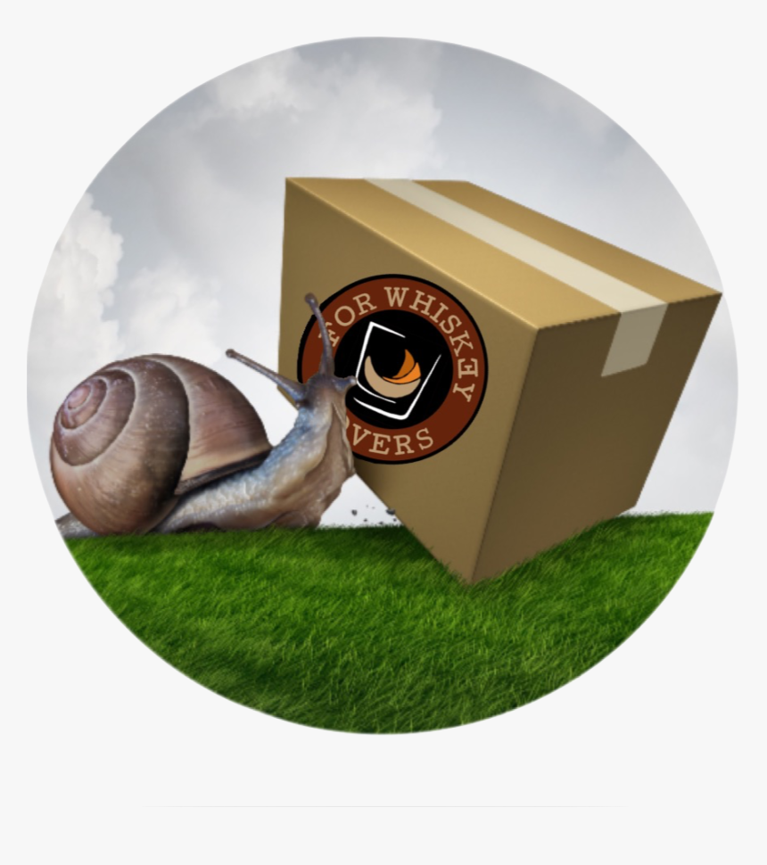 Snails And Slugs, HD Png Download, Free Download