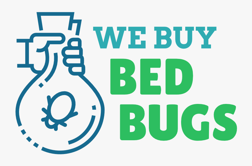 We Buy Bed Bugs - Graphic Design, HD Png Download, Free Download