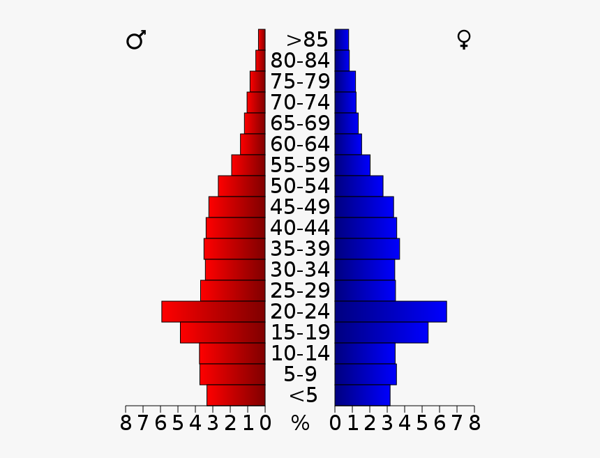 Usa Yolo County, California Age Pyramid - Population Pyramid Of Wisconsin, HD Png Download, Free Download