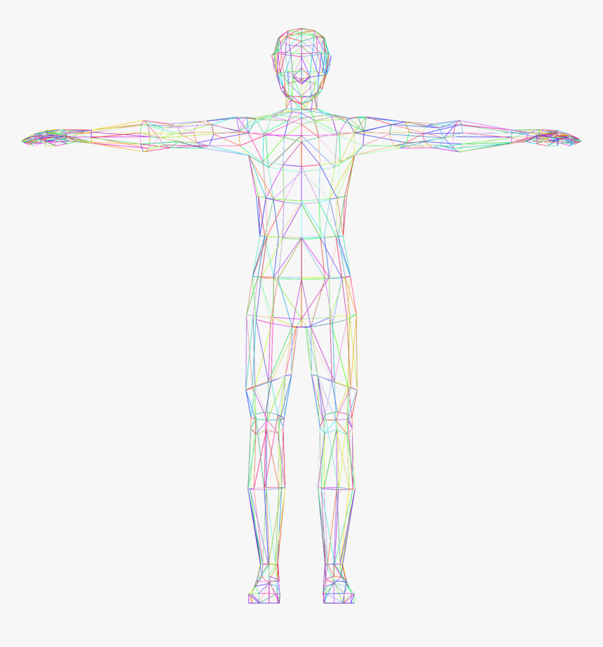 Human Body No Background, HD Png Download, Free Download