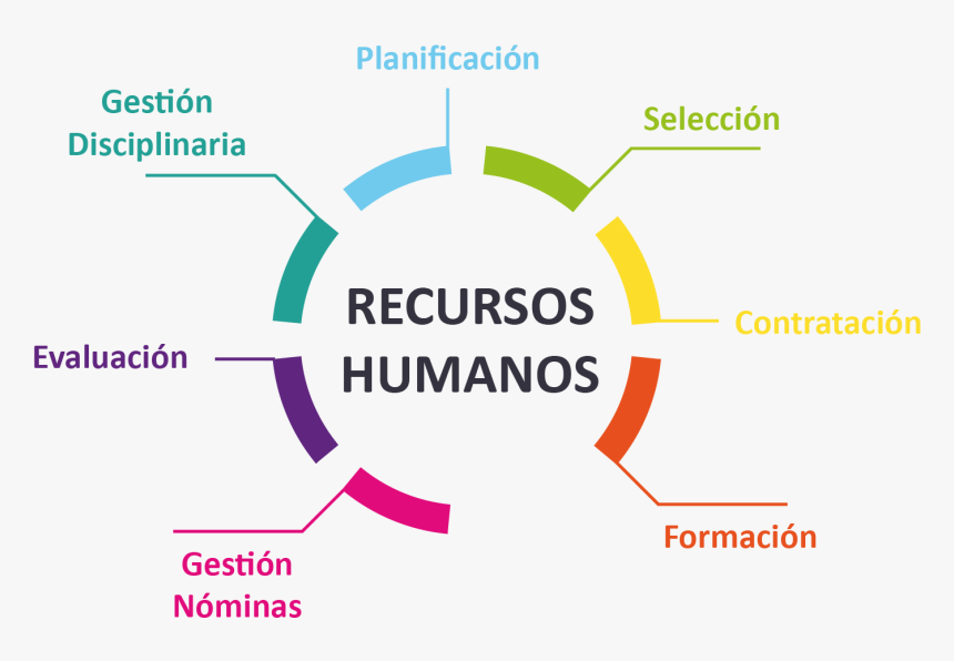 Transparent Recursos Humanos Png - Principios De Proteccion Al Cliente, Png Download, Free Download