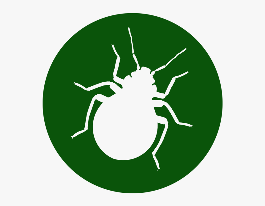 Pest Control, HD Png Download, Free Download