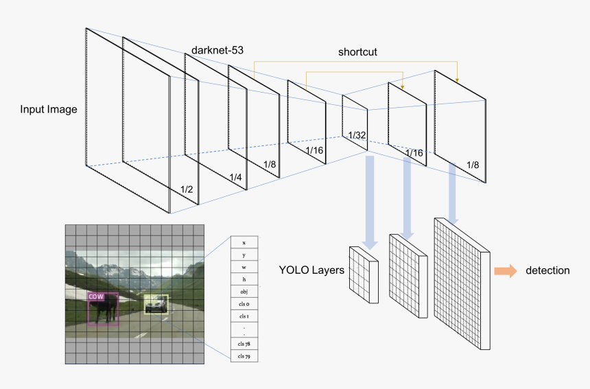 Yolov3 Architecture Pytorch, HD Png Download, Free Download