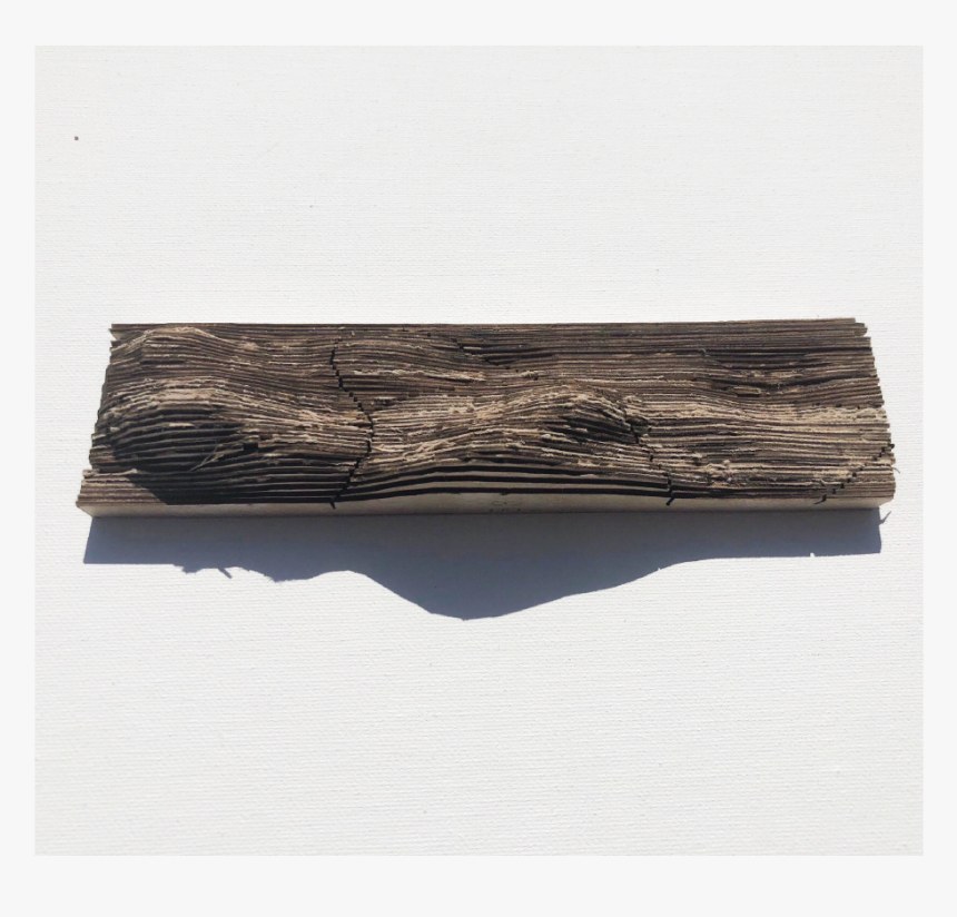 Driftwood, HD Png Download, Free Download