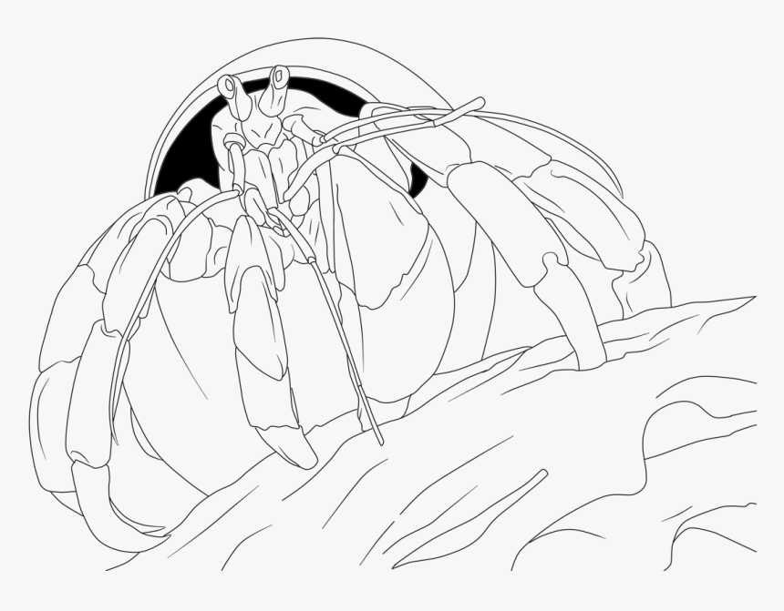 Hermit Crab Coloring Free, HD Png Download, Free Download