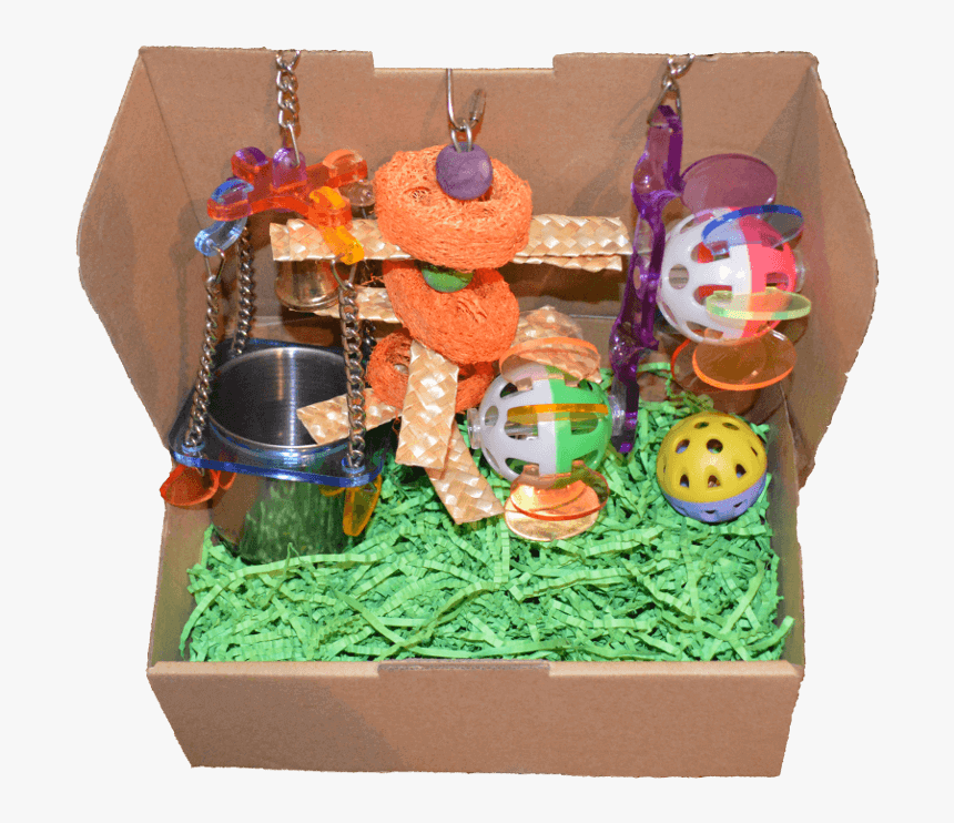 Transparent Toy Box Png - Squawk Box Bird Toys, Png Download, Free Download