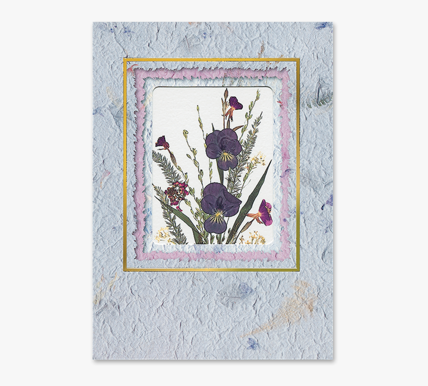 Viola Sprigs Card Image - Picture Frame, HD Png Download, Free Download