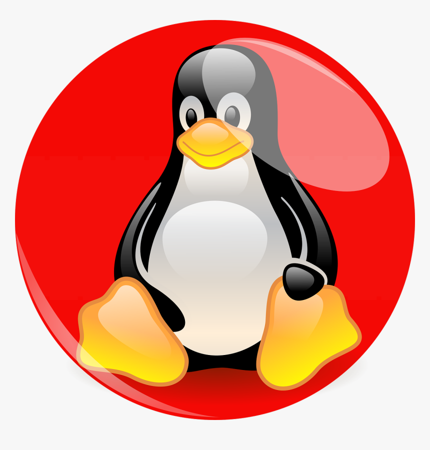 Tux Red Hat, HD Png Download, Free Download