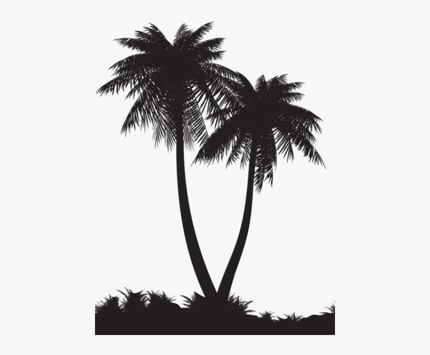 Palm Tree And Swing Png - Palm Tree Silhouette Png, Transparent Png, Free Download