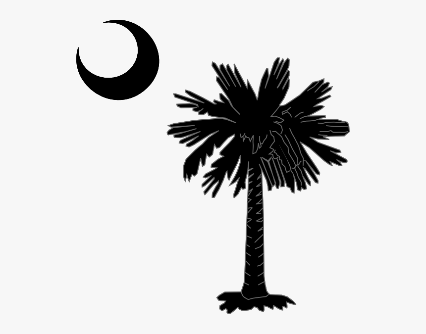 Transparent Moon Outline Png - Palmetto Tree Clipart, Png Download, Free Download