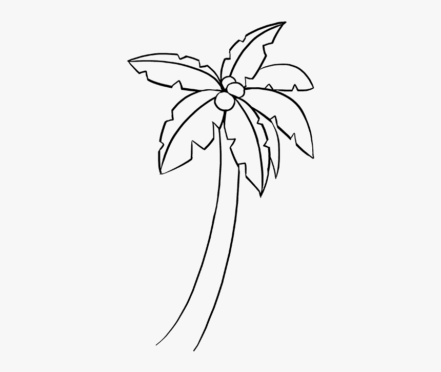 How To Draw A Palm Tree - Easy Terrestrial Plants Drawing, HD Png Download, Free Download