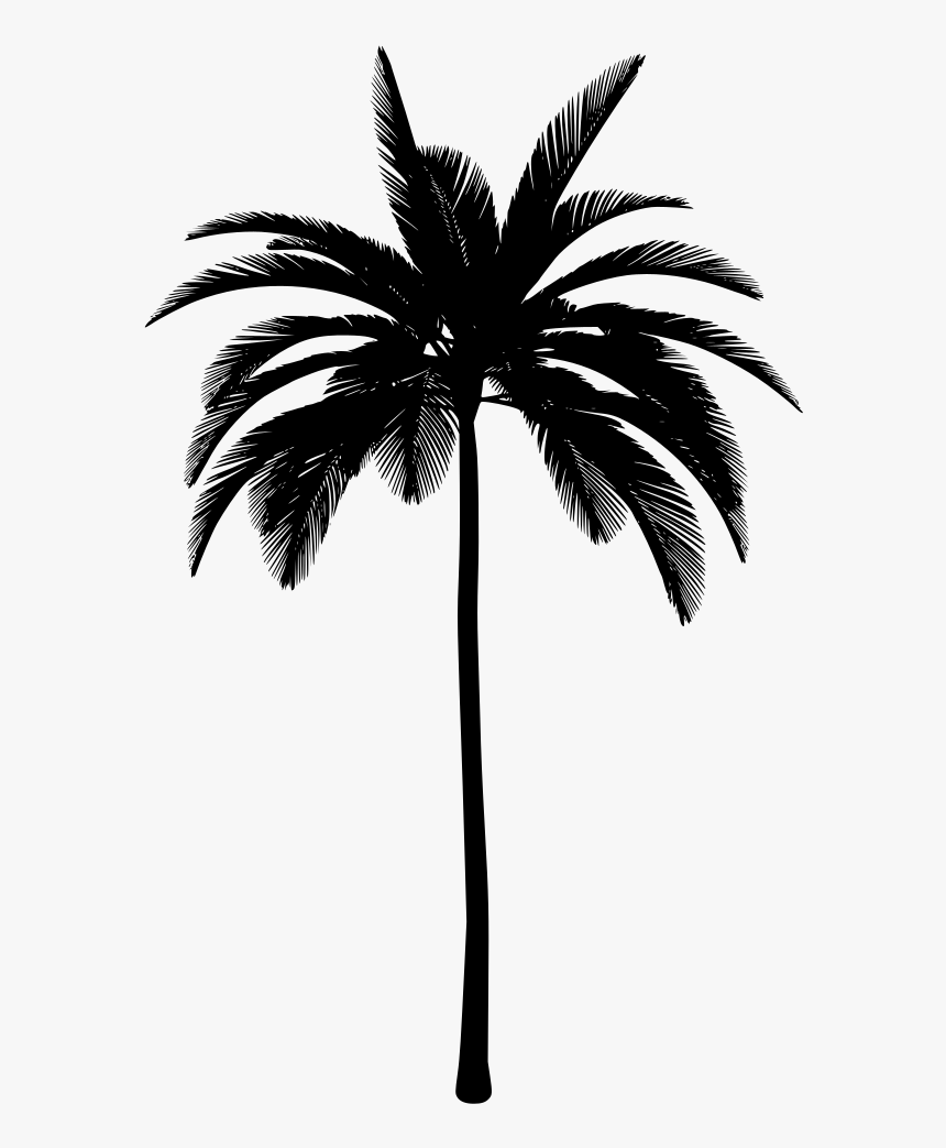 Black Palm Tree Drawing Png.